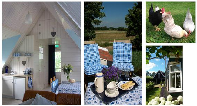 Bed and breakfast